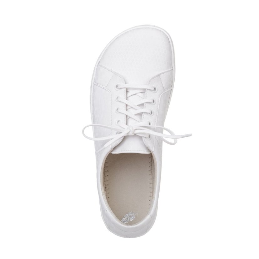 Celebrate Life - Size: 37